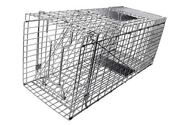 捕獲器 標準·大型