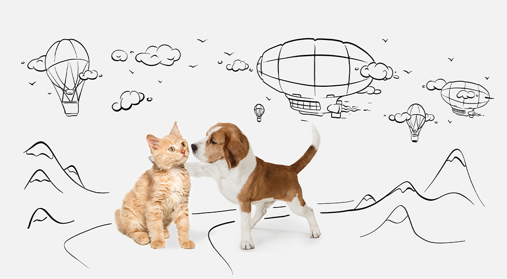 迷子犬・猫イメージ